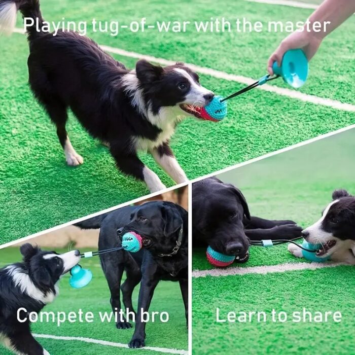 Dog Suction Cup Tug Toy - Image 5