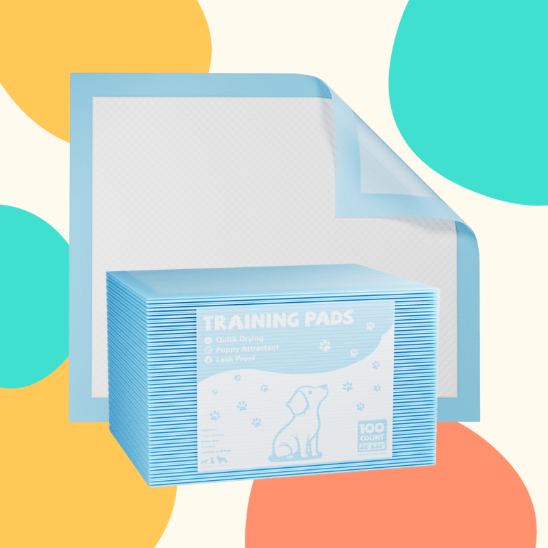 Pack of blue puppy training pads with leak-proof quick-dry design
