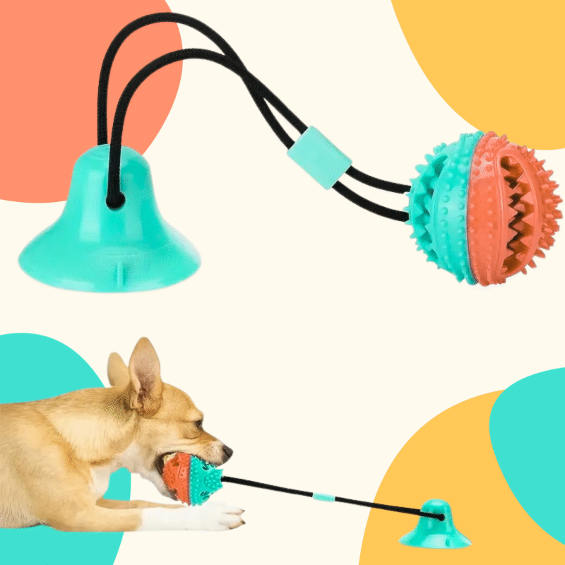 Dog playing with suction cup tug toy and chew ball for teeth cleaning