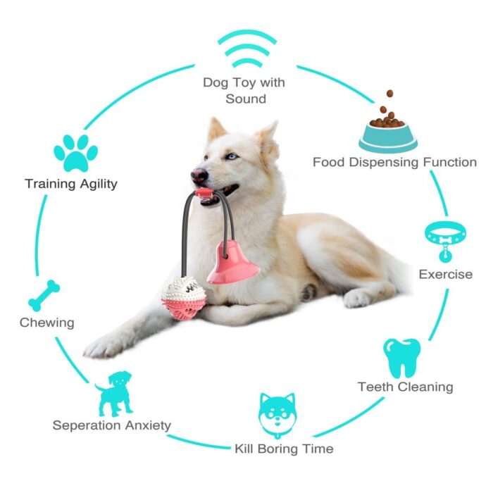 Dog Suction Cup Tug Toy - Image 4